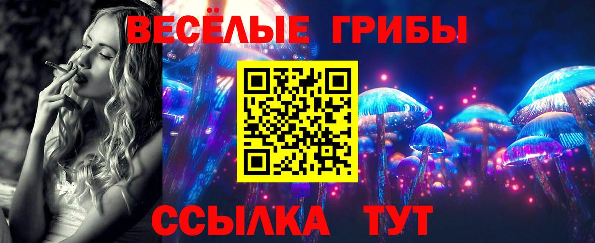 как найти   Галлюциногенные грибы Psilocybe  Вход с VPN  Кимры 