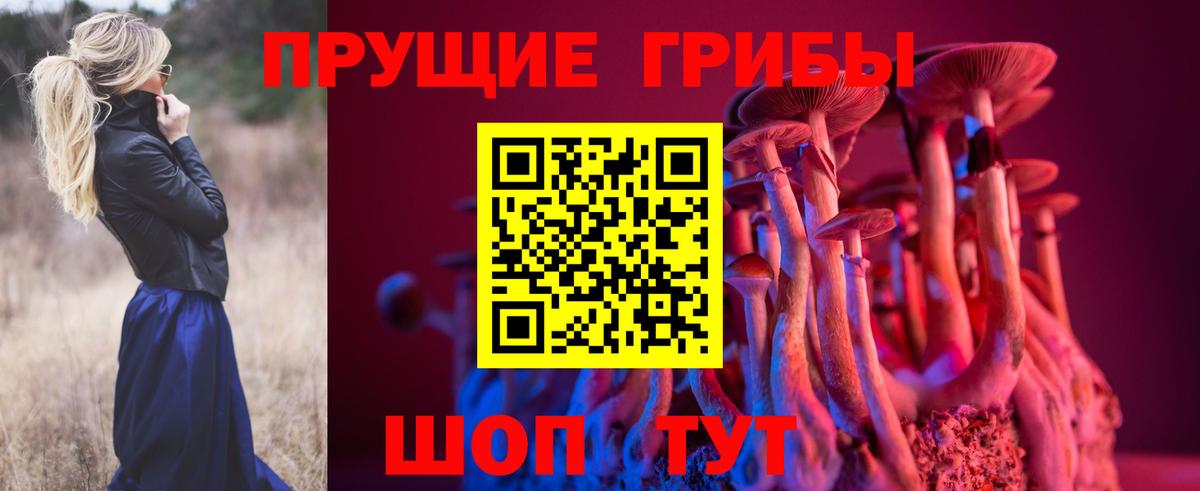 Псилоцибиновые грибы Psilocybe Кимры